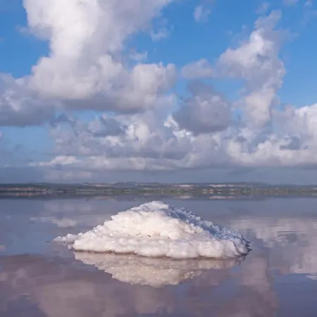 Laguna Del Flamenco *