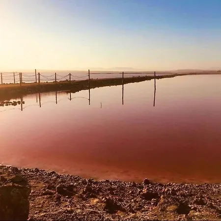Laguna Del Flamenco