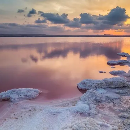 Laguna Del Flamenco *