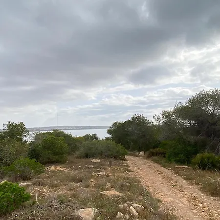 Laguna Del Flamenco Torrevieja