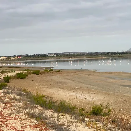 Laguna Del Flamenco * Torrevieja